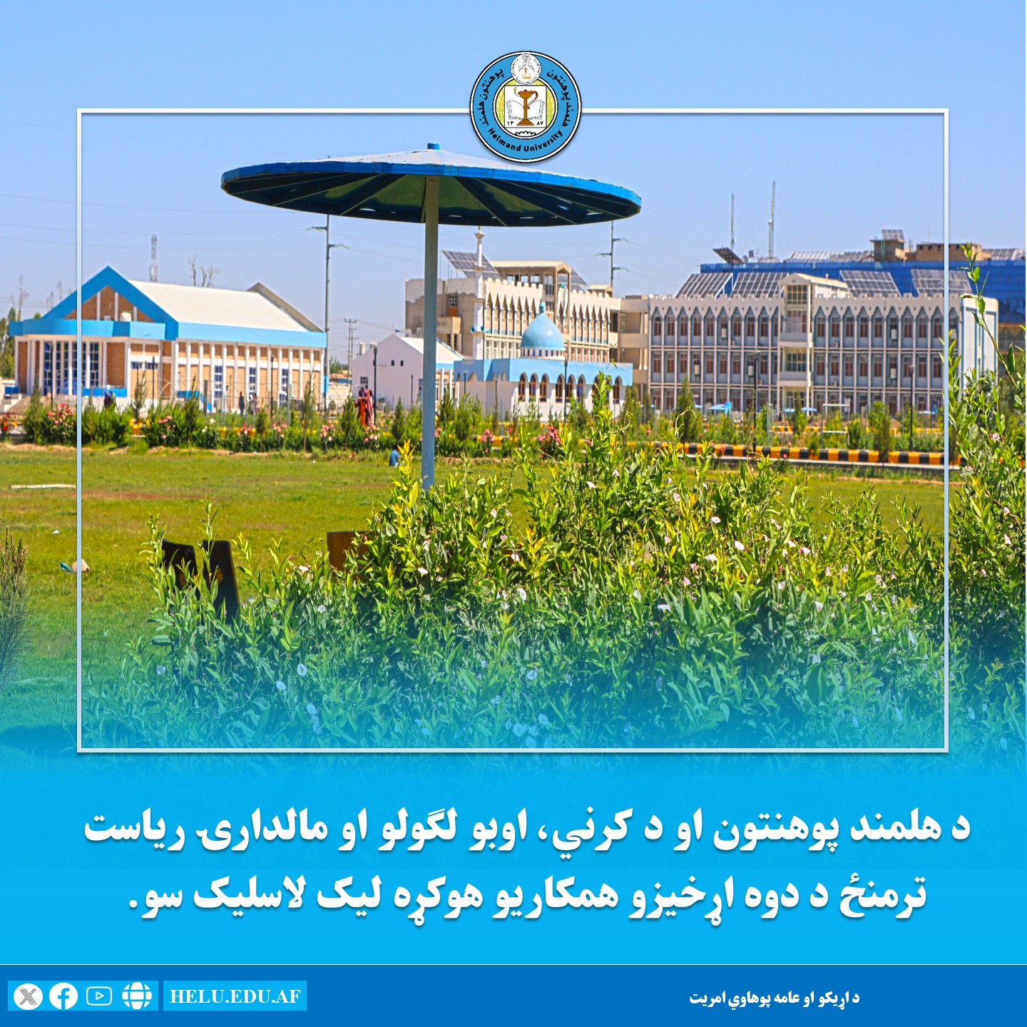 هوکړه